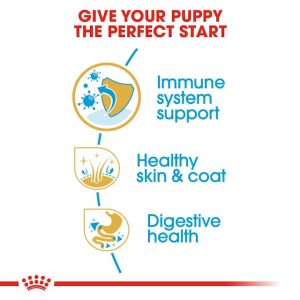 Golden Retriever Puppy Diet