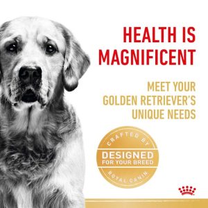 Meet your Golden Retriever's unique needs with Royal Canin