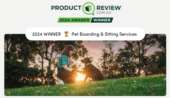 Best Pet Boarding and Sitting service - Mad Paws