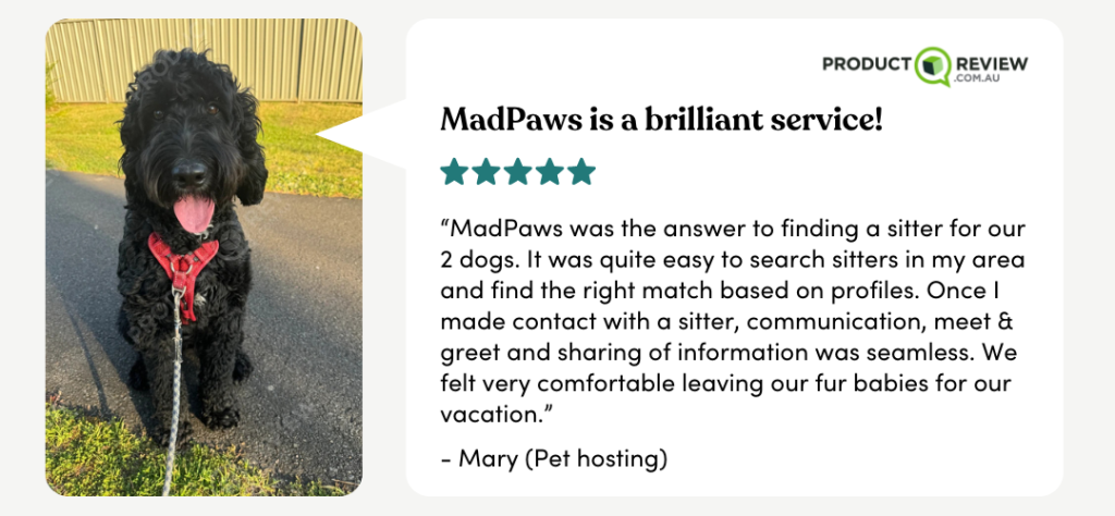 Voted #1 pet boarding & pet sitting service by the public!