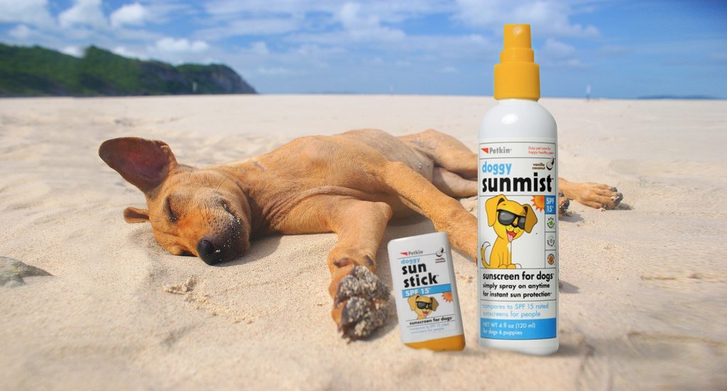 Sunscreen for dogs