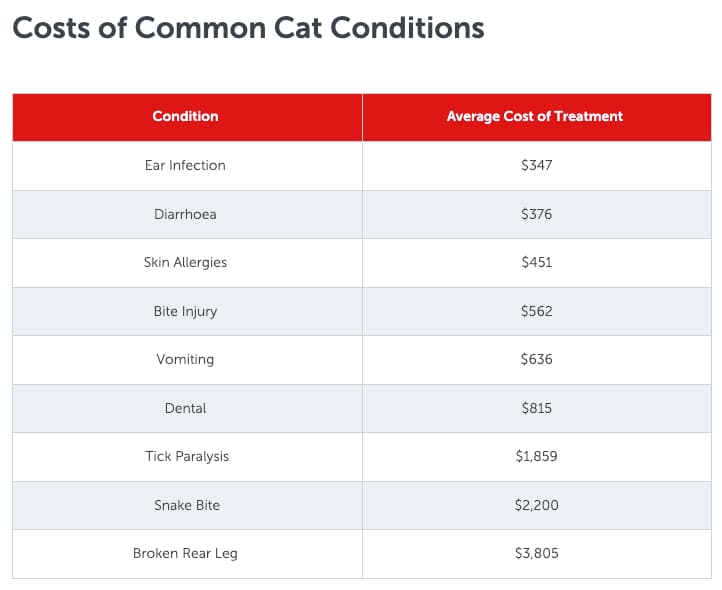 Are these common cat conditions covered by your pet insurance?