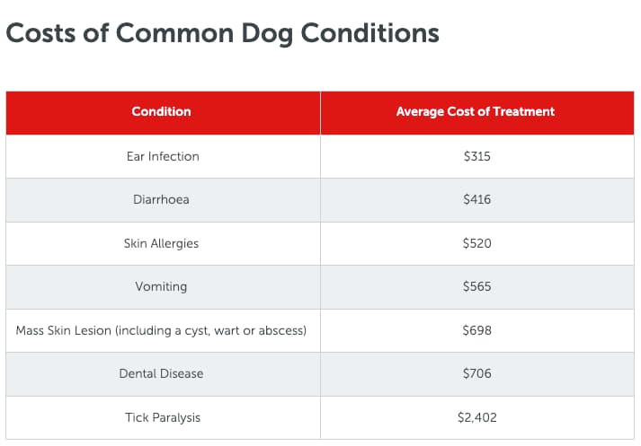 Are these common dog conditions covered by your pet insurance?