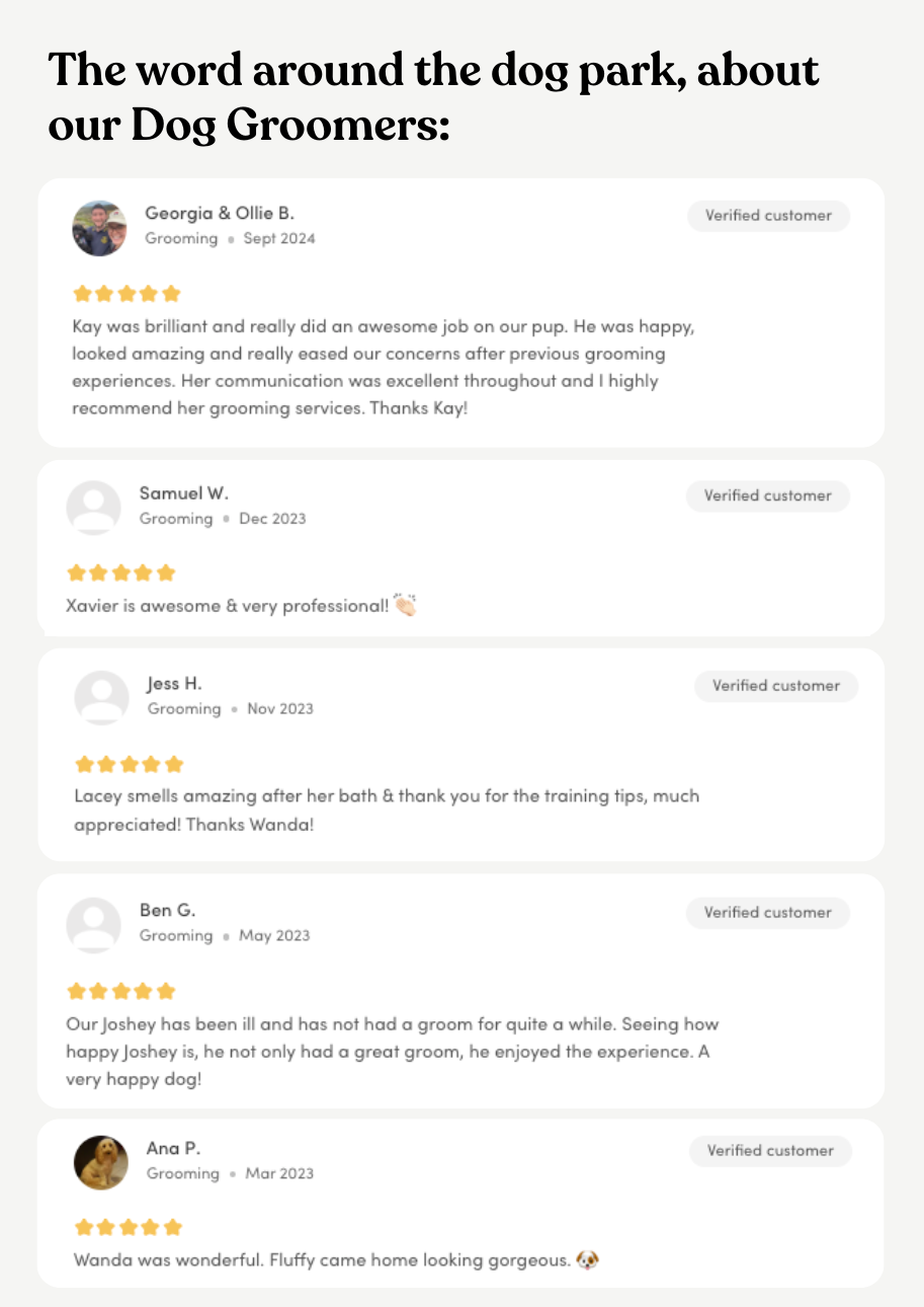 Dog Groomer Reviews