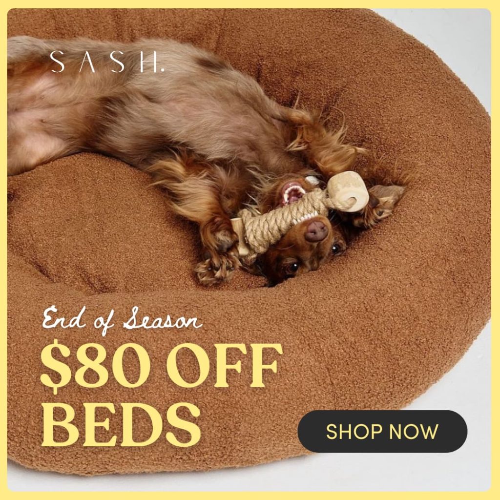 $80 off pet beds 