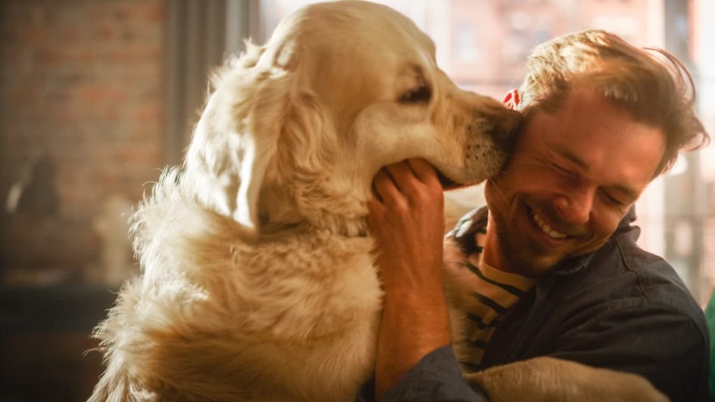 No wonder dogs are considered 'man's best friend', with their unwavering, unconditional love